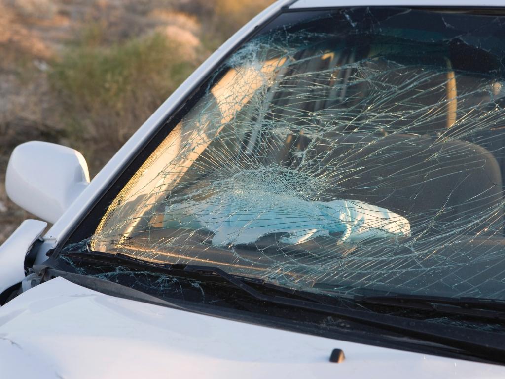 AMB Auto Glass and Window Tint (619) 514 3537 5841 Mission Gorge Rd A San Diego CA 92120 United States windshield repair